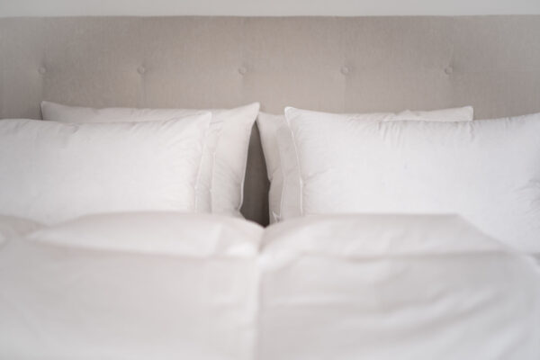 Norsk Dun down pillow By Night 50×60