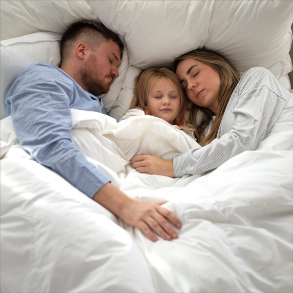 Dreamsville duvet Bio 200×220