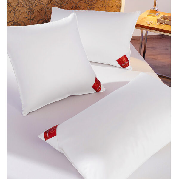 Brinkhaus pillow Down Surround 60x80