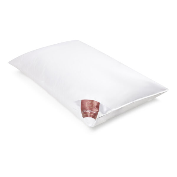 Brinkhaus pillow Down Surround 50x60