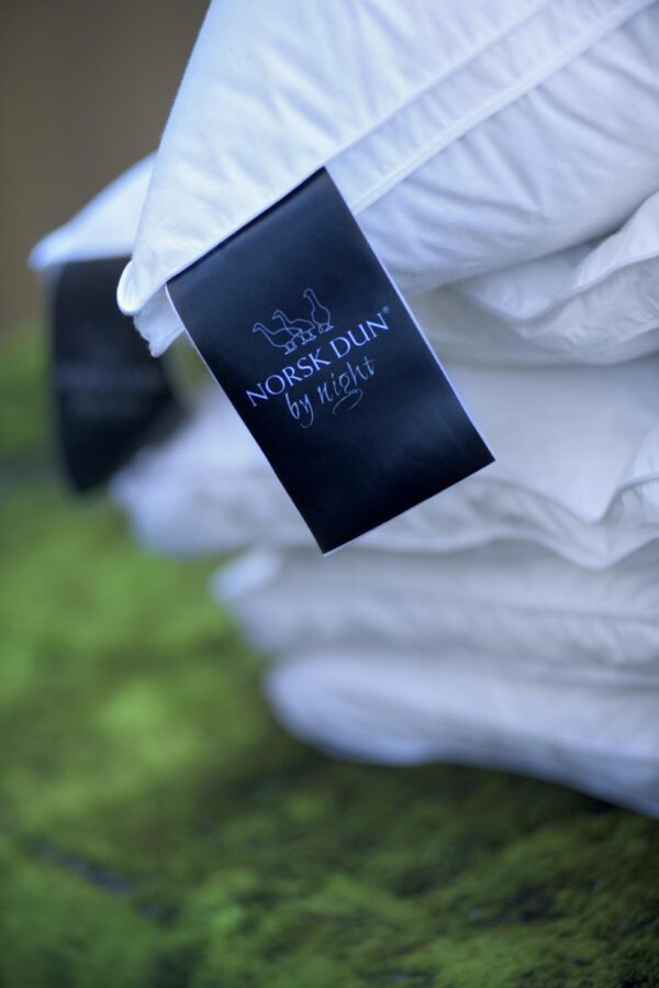 Norsk Dun down duvet By Night 150×210